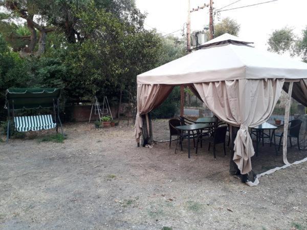 Villa Sia Dassia  Dış mekan fotoğraf